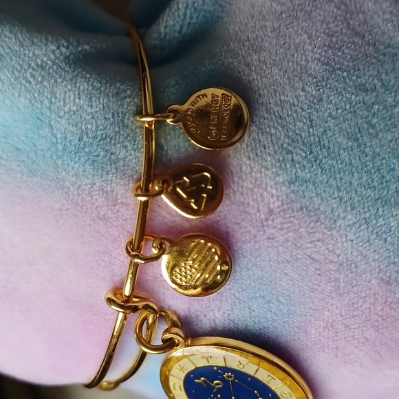 Capricorn Celestial Wheel expandable bangle by Alex and Ani RARE/DISCONTINUED - Picture 3 of 12